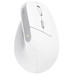 MOUSE TRUST WIRELESS ERGO BAYO II RF 2.4 GHz DPI