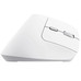 MOUSE TRUST WIRELESS ERGO BAYO II RF 2.4 GHz DPI