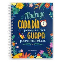 Figura dragon ball super dragon stars