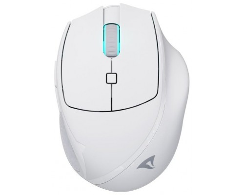 Sharkoon OfficePal M25W ratÃ³n Juego mano derecha RF Wireless + USB Type-C Ã“ptico 4000 DPI