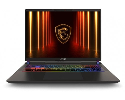 MSI Vector 16HX-241ES U9-275HX 32 1TB 5070Ti W11H