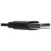 Targus AEH102GL auricular y casco Auriculares AlÃ¡mbrico Diadema Llamadas/MÃºsica USB tipo A Negro