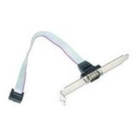 Gembird Cable DB9 Puerto Serie de 10pin 0,25mts Gembird Cable DB9 Puerto Serie de 10pin 0,25mts