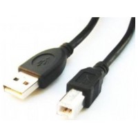 Gembird CCP-USB2-AMBM-10 cable USB 3,04 m USB A USB B Negro