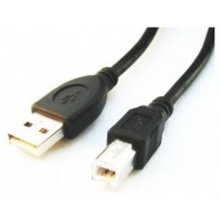 Gembird CCP-USB2-AMCM-10 cable USB USB 2.0 3 m USB A USB C Negro