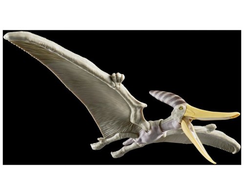 Maqueta bandai hobby plannosaurus pteranodon