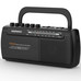 DAE-RADIO DW1108