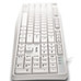 TECLADO NGS HERITAGE WH