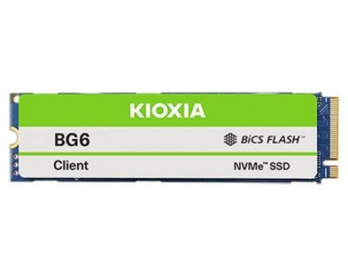 KIO-SSD KBG60ZNV 512GB