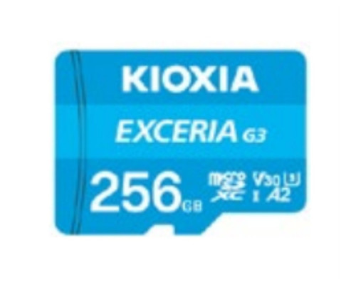 Kioxia EXCERIA G3 256 GB MicroSDXC UHS-I Clase 10