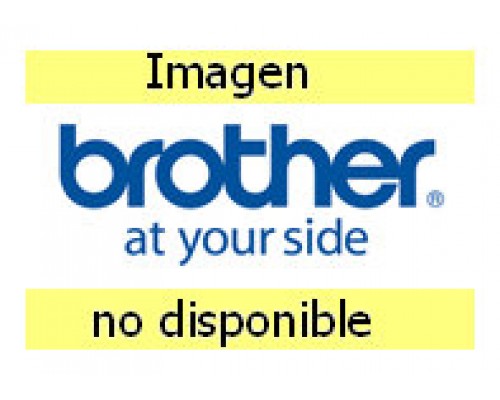 Brother Papel Caja12Rollos 50x30mm