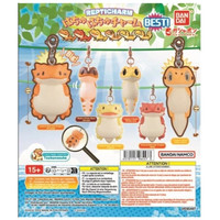 Set gashapon 40 unidades hachuhachu charm