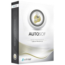 Programa gestion integral taller coches multiempresa