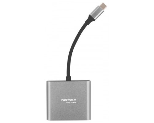 NATEC Fowler Mini USB 2.0 Type-C Gris