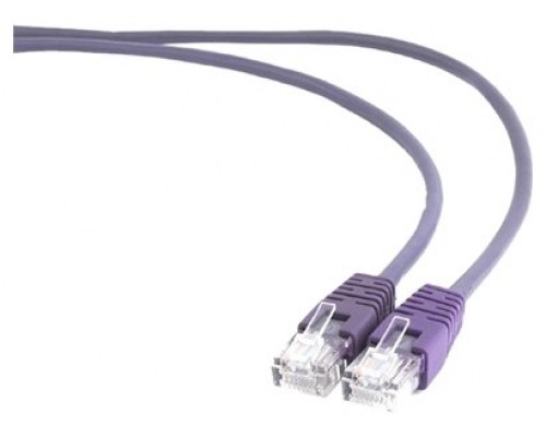 Gembird RJ45/RJ45 Cat5e 0.5m cable de red PÃºrpura 0,5 m U/UTP (UTP)